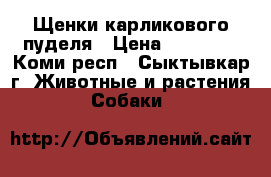Щенки карликового пуделя › Цена ­ 10 000 - Коми респ., Сыктывкар г. Животные и растения » Собаки   